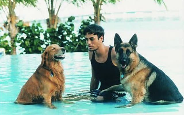 Enrique Iglesias mit seinen zwei Hunden im Pool