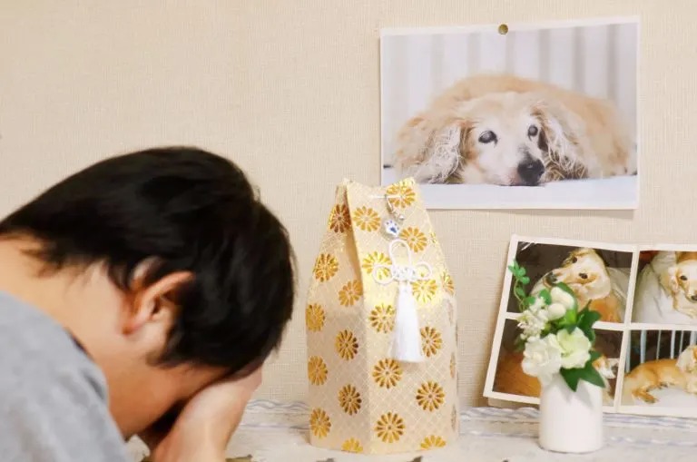Fotos von Hund und einem weinenden Mann