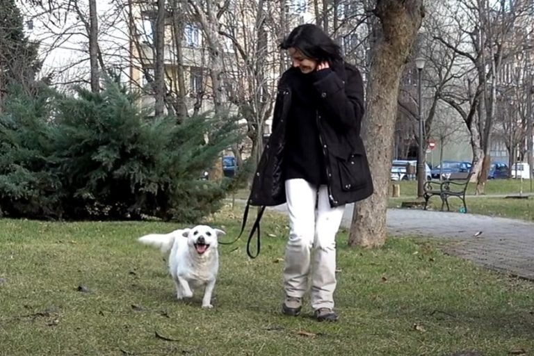 Hund an der Leine spaziert mit Frau