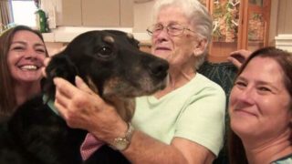Hund mit Bewohnern eines Pflegeheims