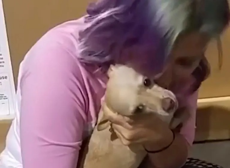 Hund in Armen seiner Besitzerin