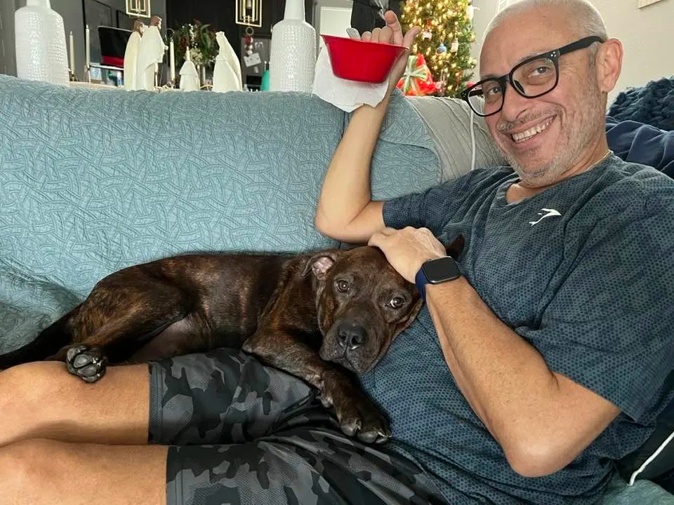 Hund liegt auf dem Sofa mit seinem Besitzer