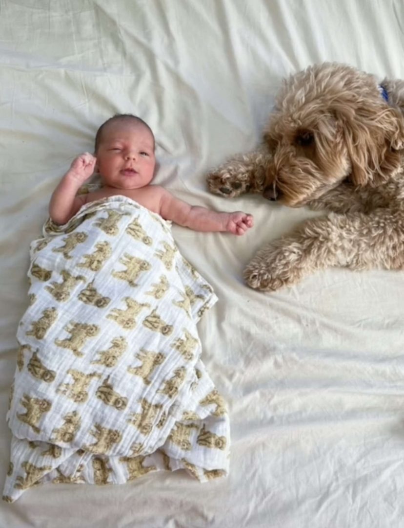 Hund liegt neben Baby auf einem Bett