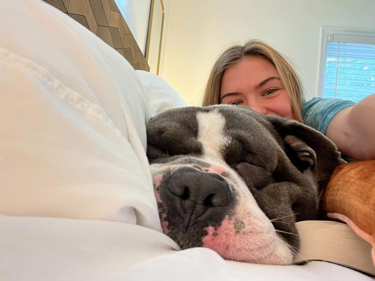 Hund macht ein Nickerchen im Bett mit Besitzerin
