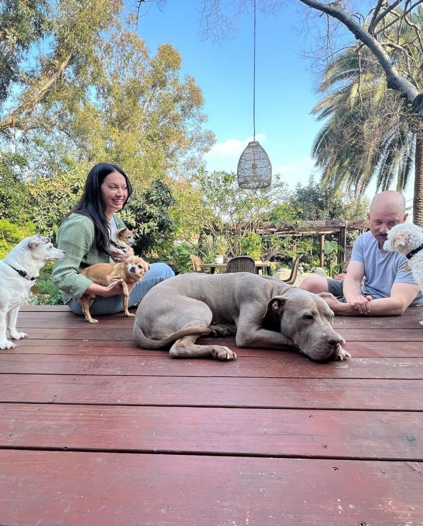 Hund mit seiner neuen Familie und Hundefreunden