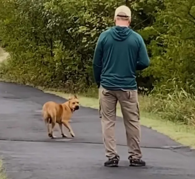 Hund rennt vor Mann weg