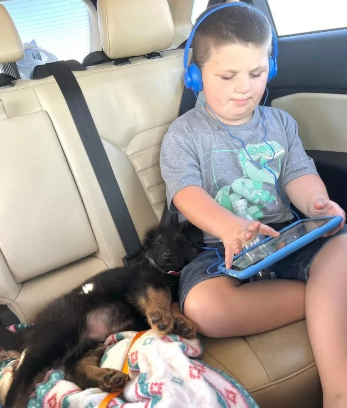 Hund schlaeft neben dem Kind im Auto