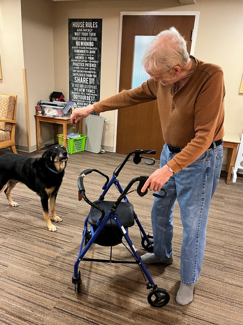 Hund spielt mit einem Bewohner des Pflegeheims