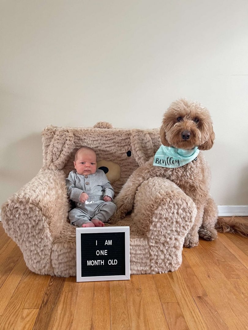Hund und Baby posieren fuer ein Foto