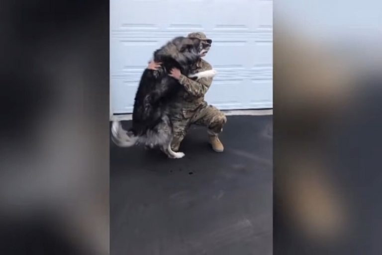 Hund und Soldat umarmen sich.