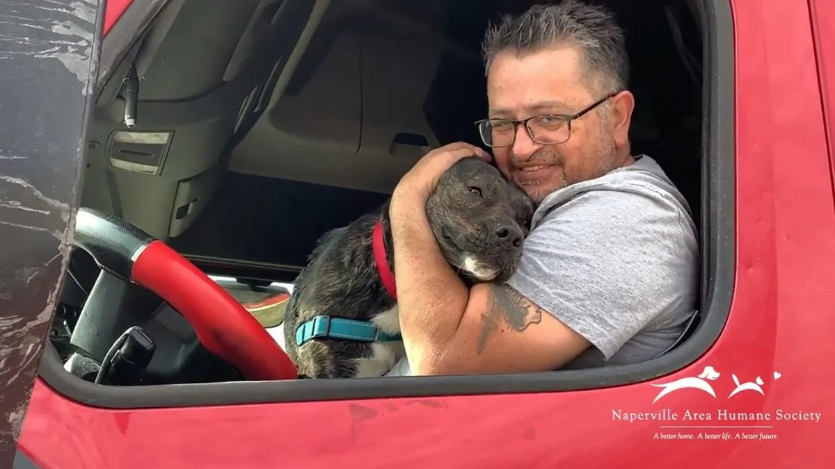 Hund und sein neuer Besitzer im Lastwagen