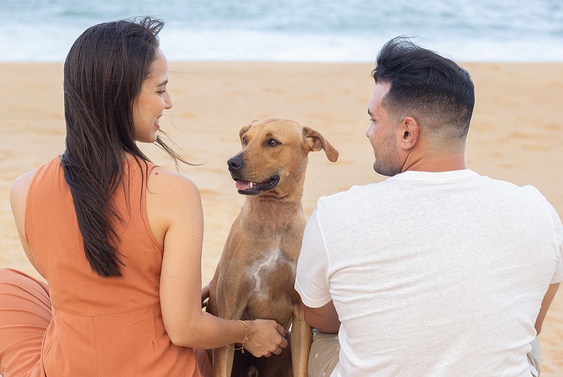Hund und seine Besitzer am Strand
