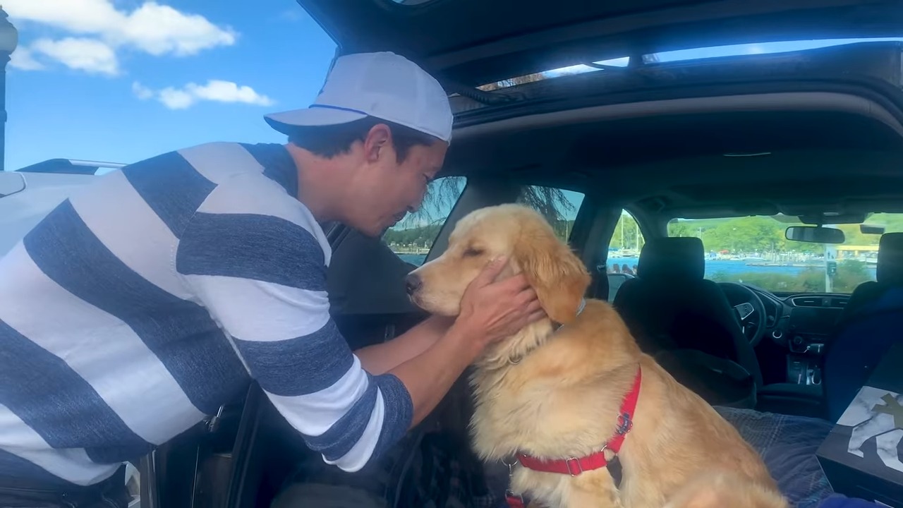 Hund wird gerettet und ins Auto gebracht