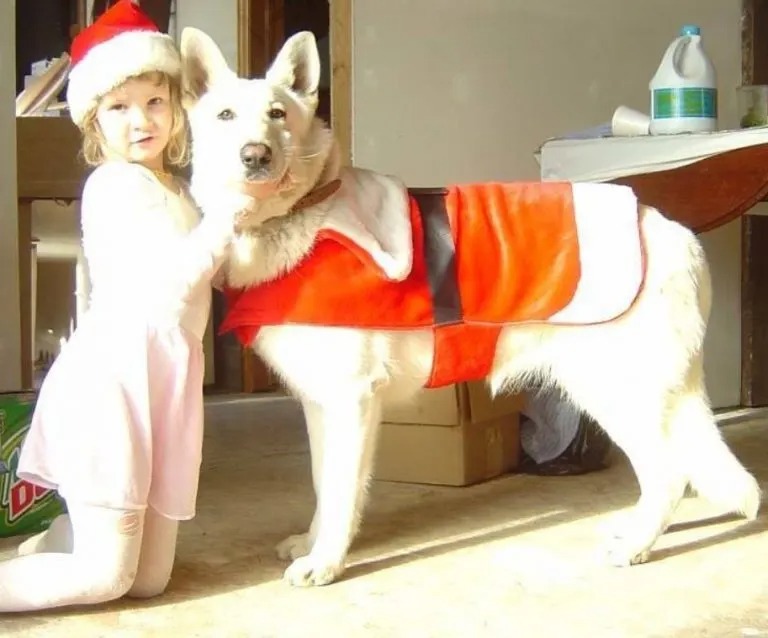 Kind und Hund in Weihnachtsanzug