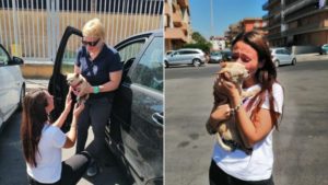 Frau uebrreicht anderer Frau einen Hund und Frau kuschelt mit einem Hund