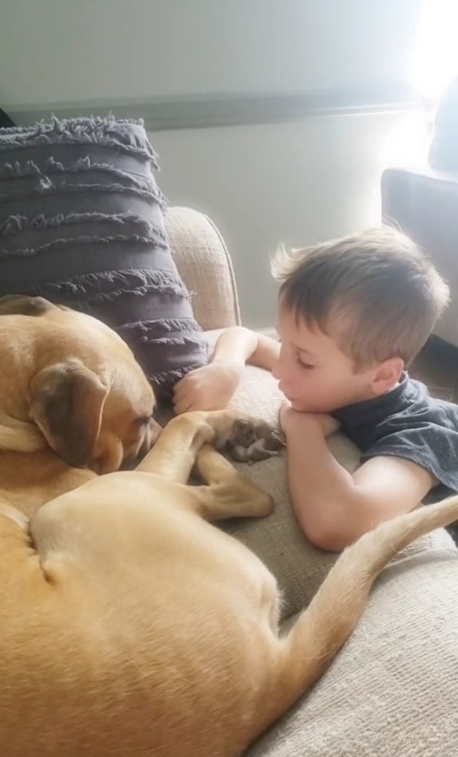 Kleiner Junge troestet seinen Hund