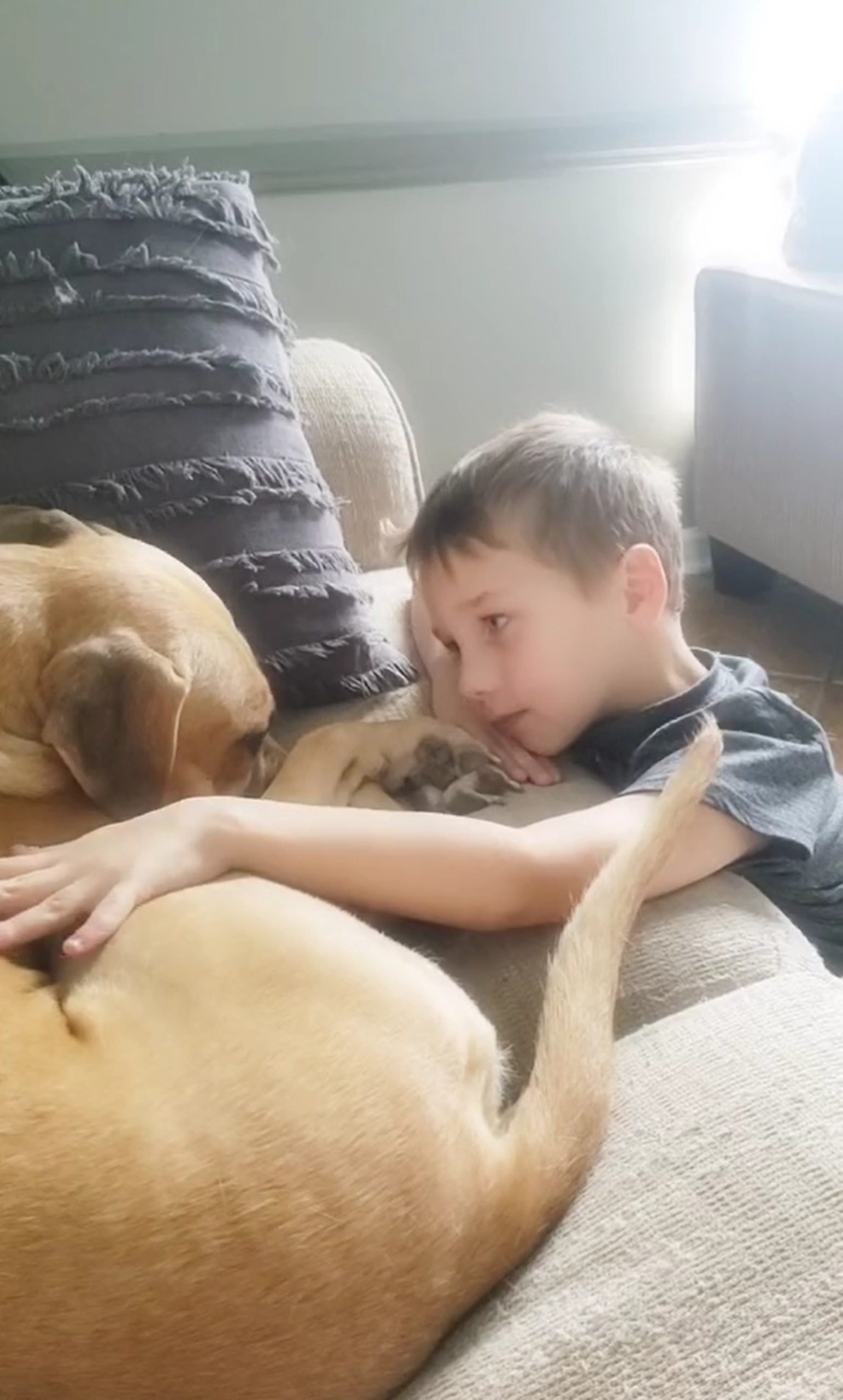 Kleiner Junge und sein neuer Hund