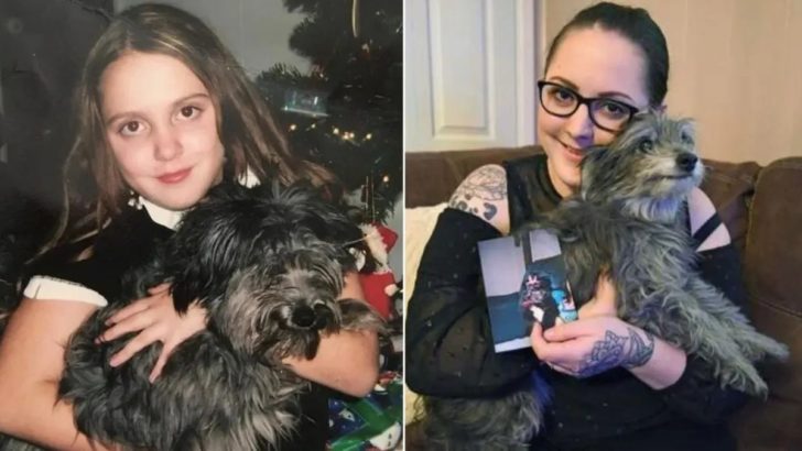 Lang vermisster Familienhund nach 7 Jahren wieder mit seiner ersten Besitzerin vereint