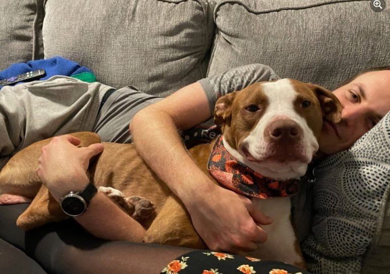 Mann und Pitbull kuscheln auf der Couch
