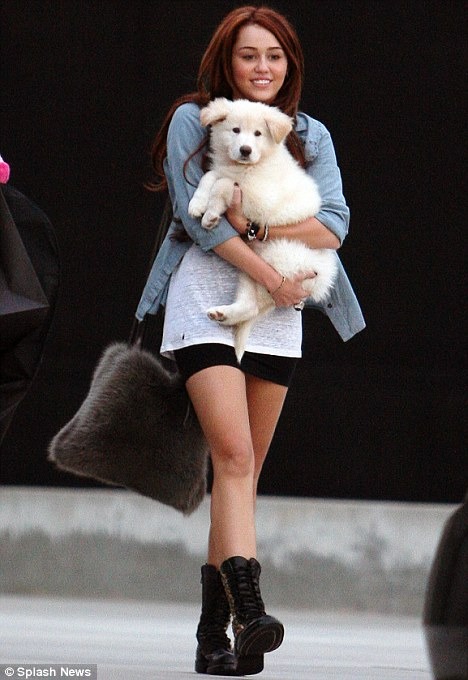 Miley Cyrus mit einem weißen Hund