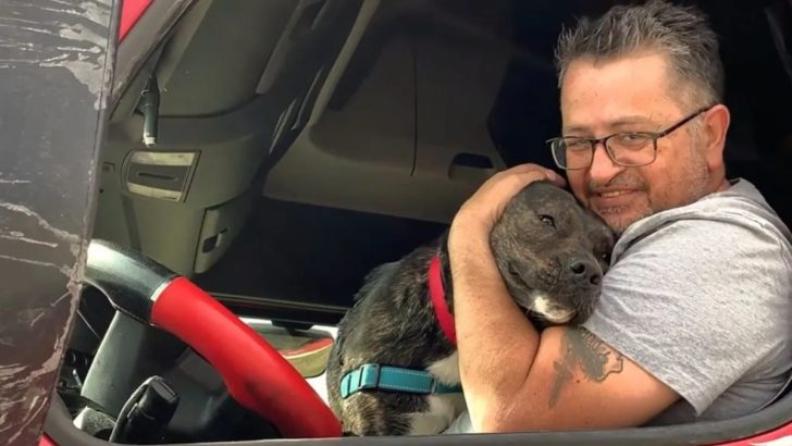 Nach langen 372 Tagen im Tierheim wurde dieser Hund endlich adoptiert