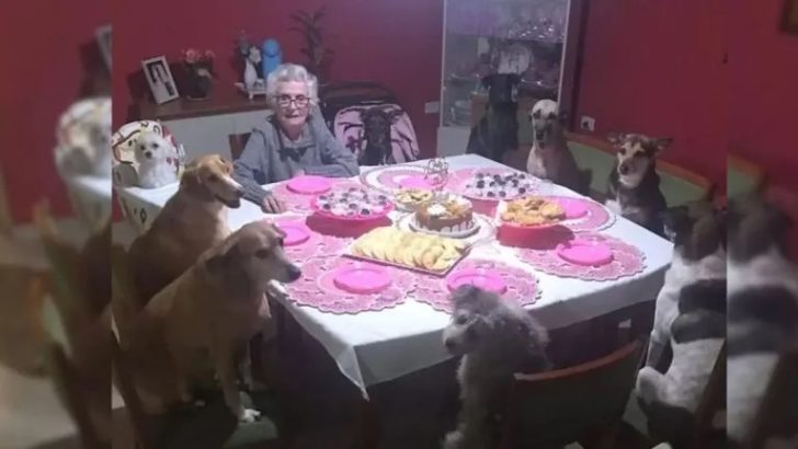 Oma feiert ihren 89. Geburtstag mit zehn Hunden