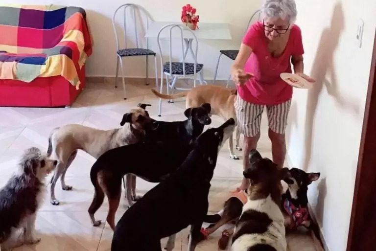 Oma fuettert ihre 10 Hunde