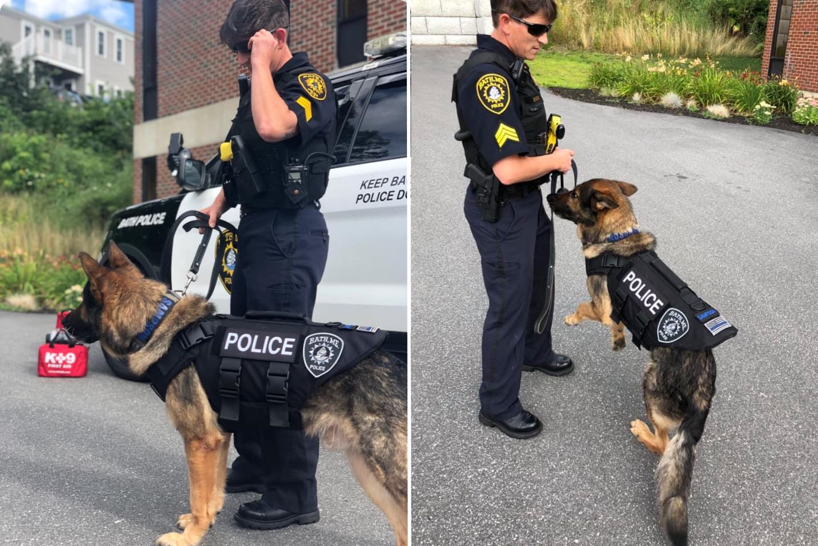 Polizeihund mit Polizist auf dem Gelaende