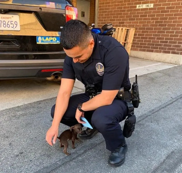 Polizist mit kleinem Hund