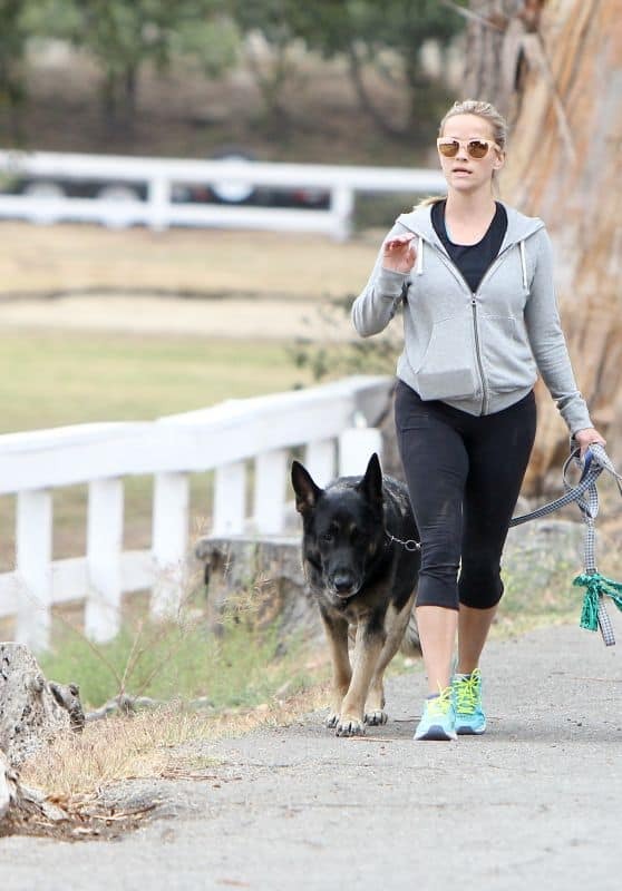 Reese Witherspoon spaziert mit ihrem schwarzen Schaeferhund