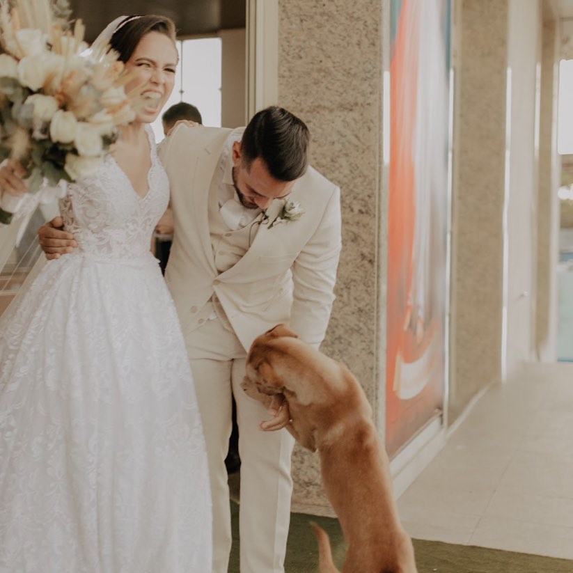 Streuender Hund begrueßt Hochzeitspaar an der Tuer