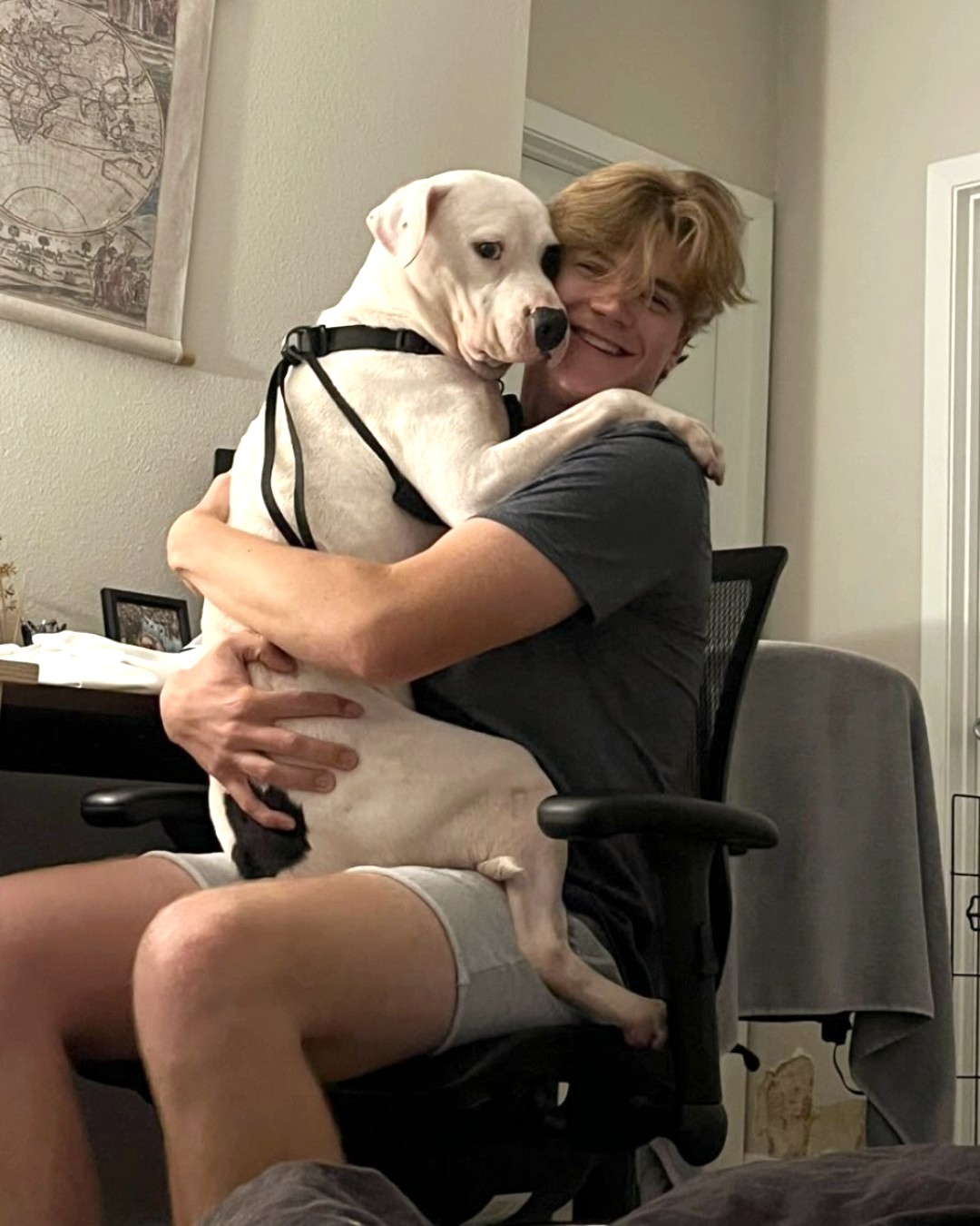 Tierheim-Hund endlich im Armen seiner neuen Besitzer