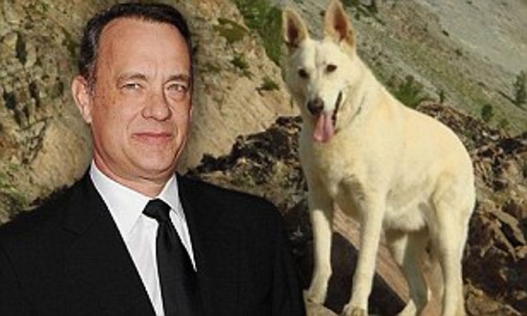 Tom Hanks und ein weißer Hund