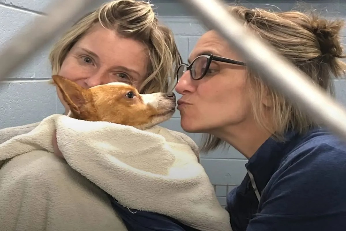 Zwei Frauen kuscheln mit einem Hund