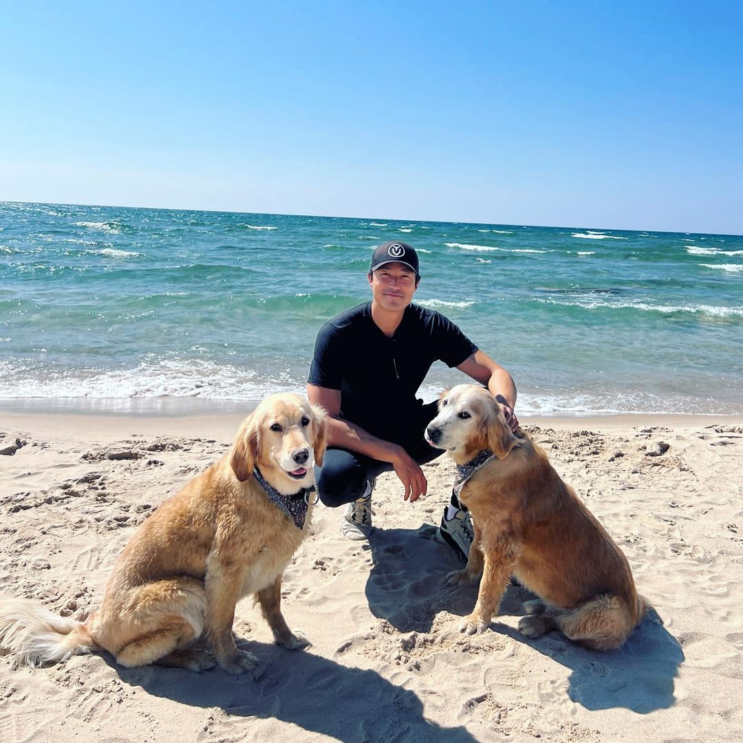 Zwei Hunde mit ihrem Besitzer am Strand