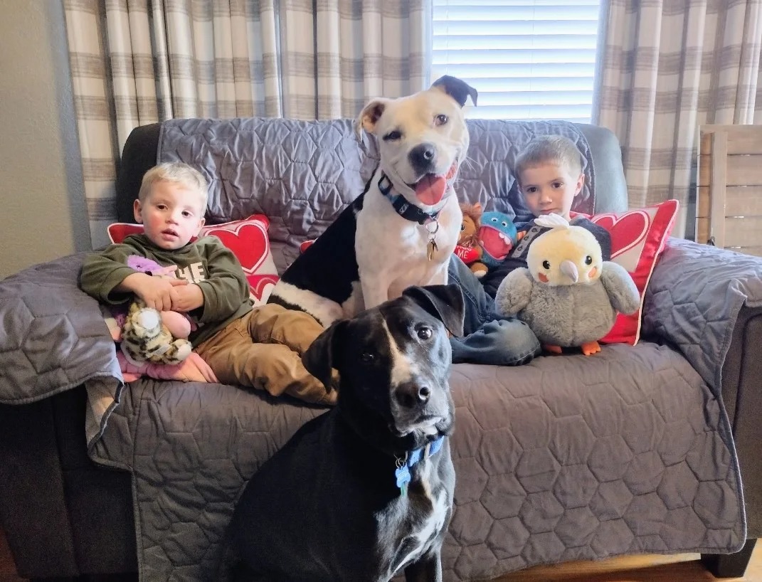 Zwei Hunde und zwei Kinder sitzen auf dem Sofa