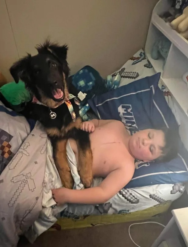 der Hund liegt auf dem Bauch des Kindes