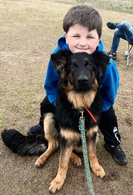ein Junge umarmt einen Hund auf einem Feld