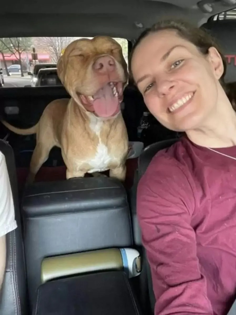Besitzerin und Hund im Auto