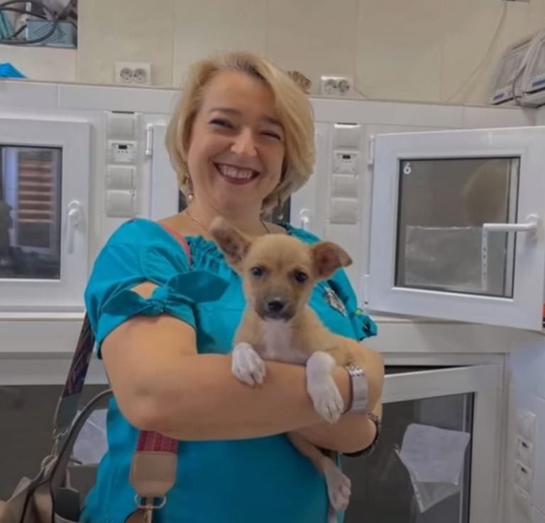 Blonde Frau haelt geretteten Hund