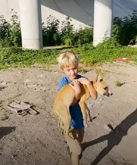Ein Junge traegt einen Hund