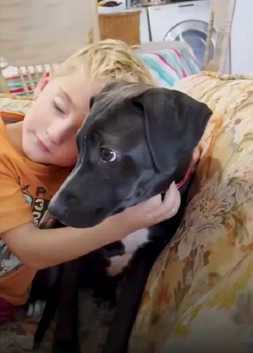 Ein kleiner Junge umarmt einen schwarzen Hund