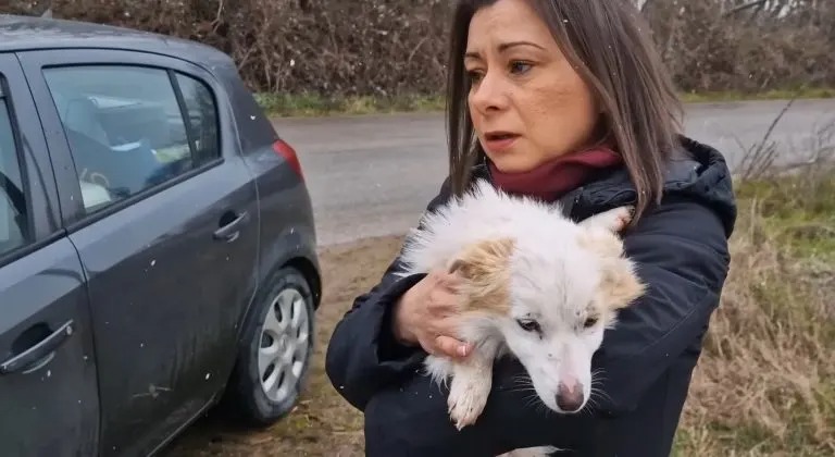 Frau haelt kleinen Hund in den Armen