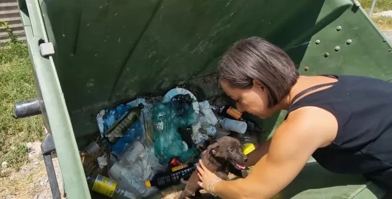 Frau rettet kleinen Hund aus Muellcontainer