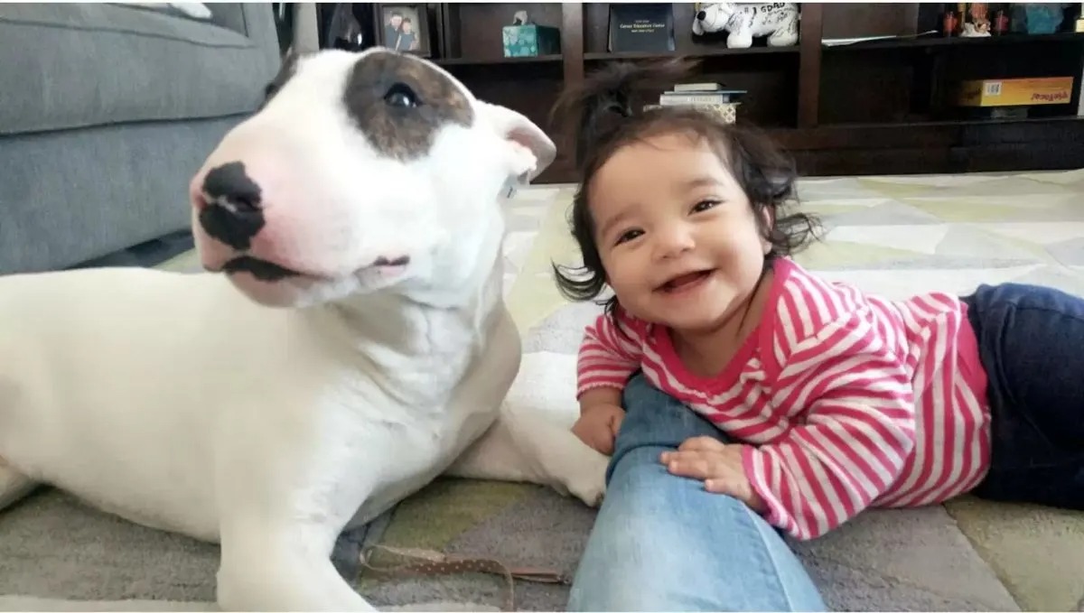 Hund mit einem Baby