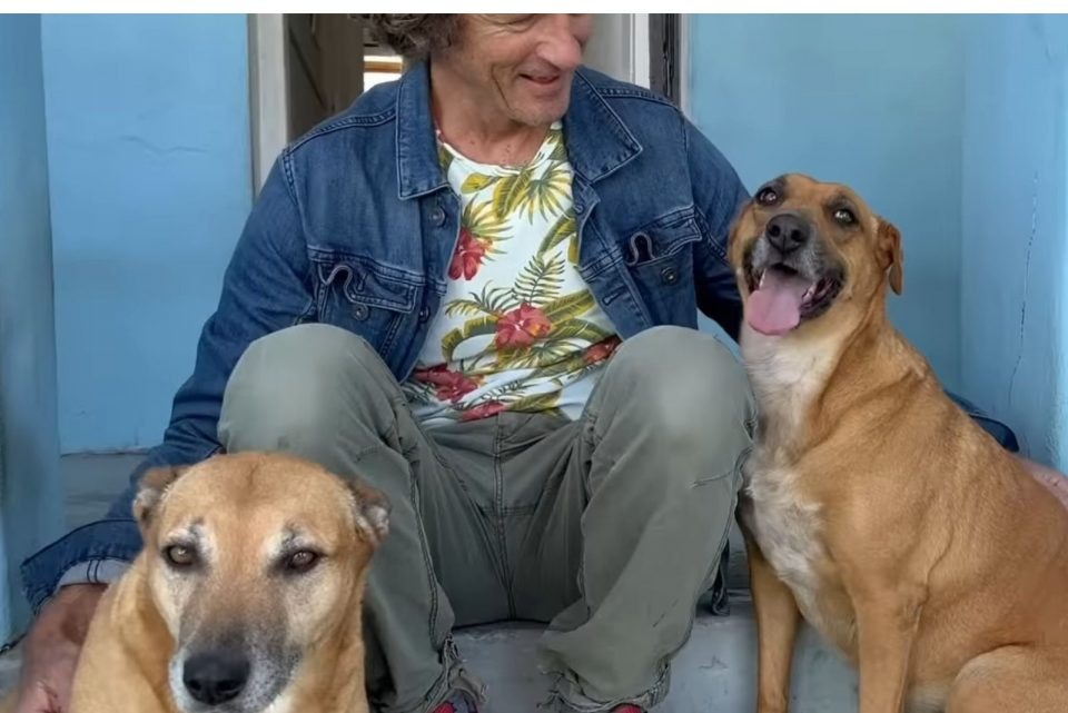 Hund mit neuen Besitzern