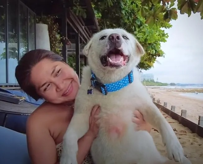 Hund sitzt im Schoß einer Frau