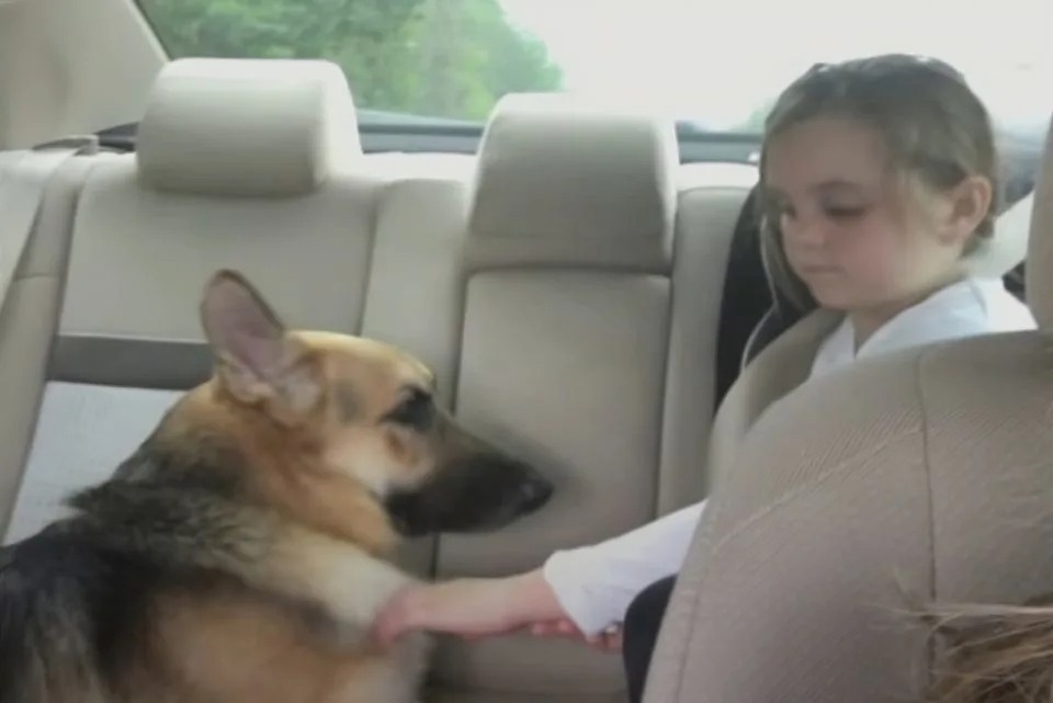 Hund und kleiner Maedchen im Auto