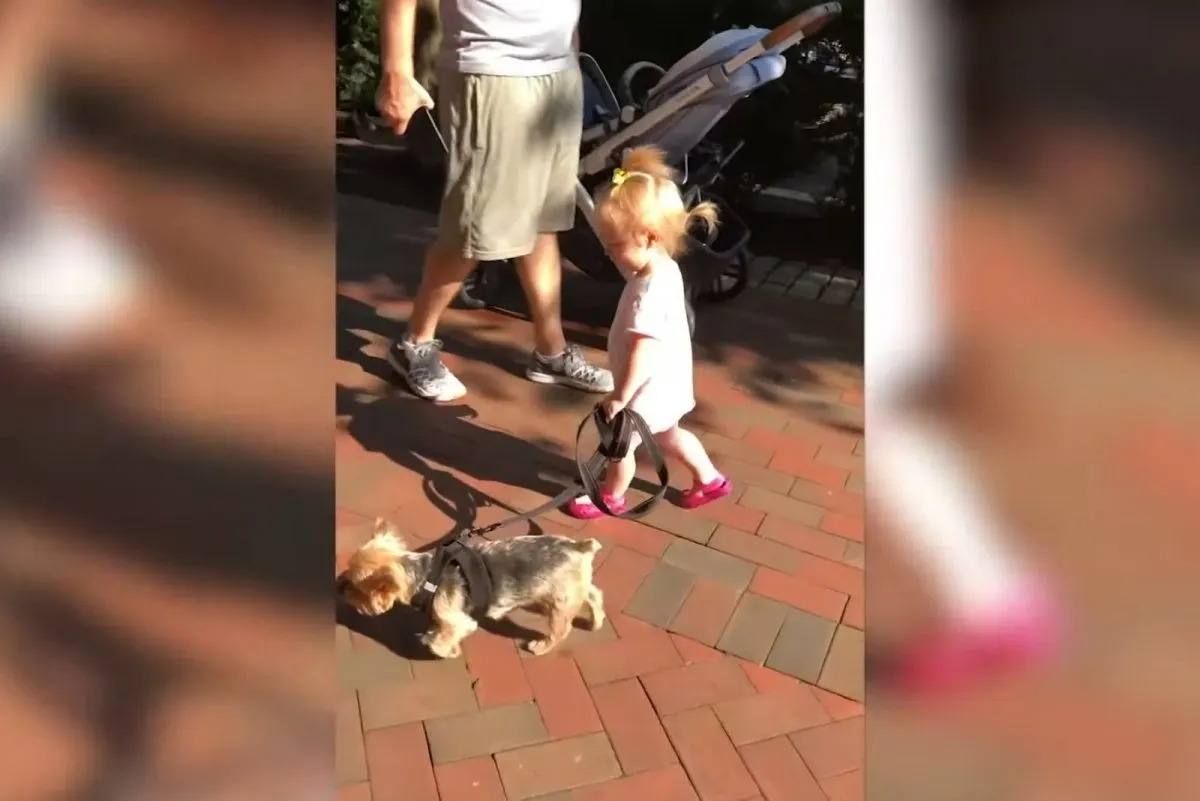 Kleines Maedchen spaziert mit ihrem Hund
