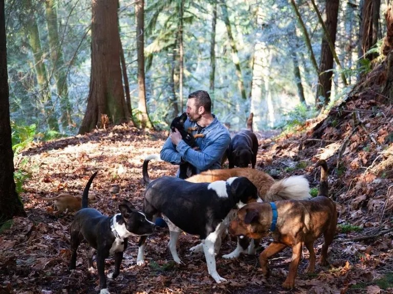 Mann mit Hunden im Wald